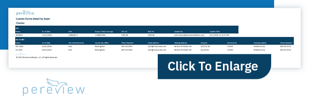 Custom forms detail by asset